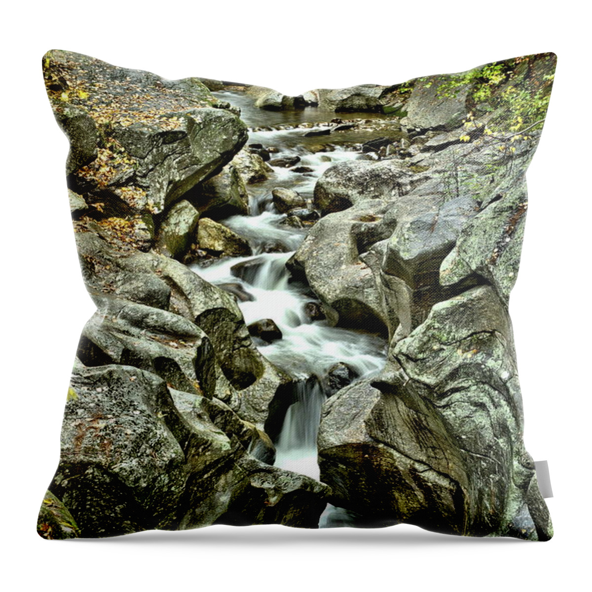 Waterfall Throw Pillow featuring the pyrography Carving and Time by Harry Moulton