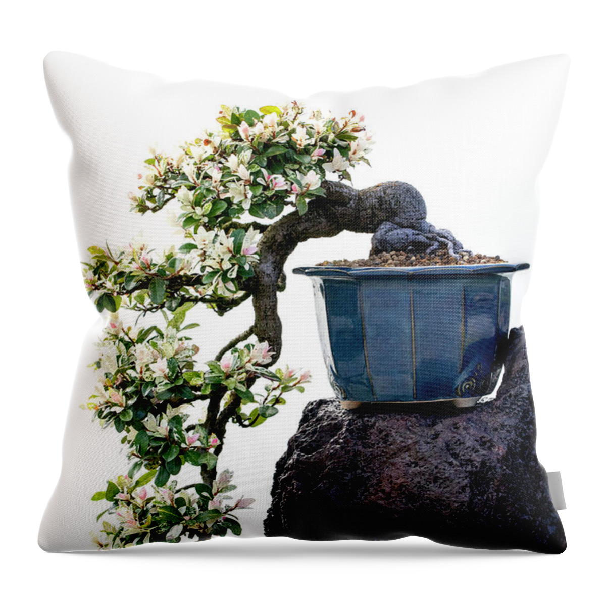 Bonsai Throw Pillow featuring the photograph Cascading Bonsai Tree by Patty Colabuono