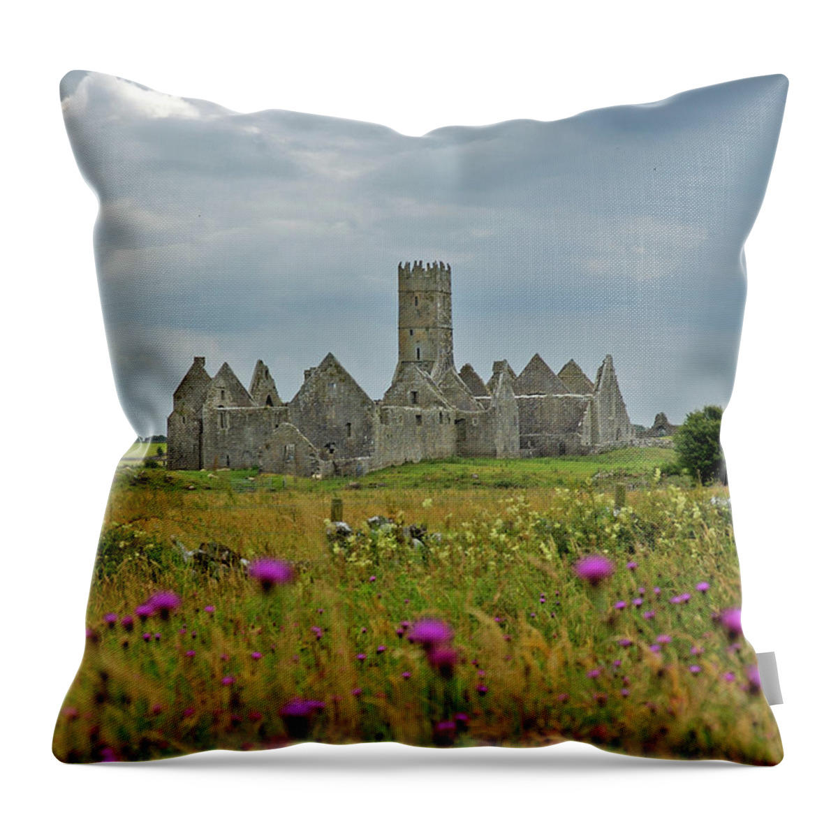 Ireland Throw Pillow featuring the photograph Castle in the Wildflowers by Mark Duehmig