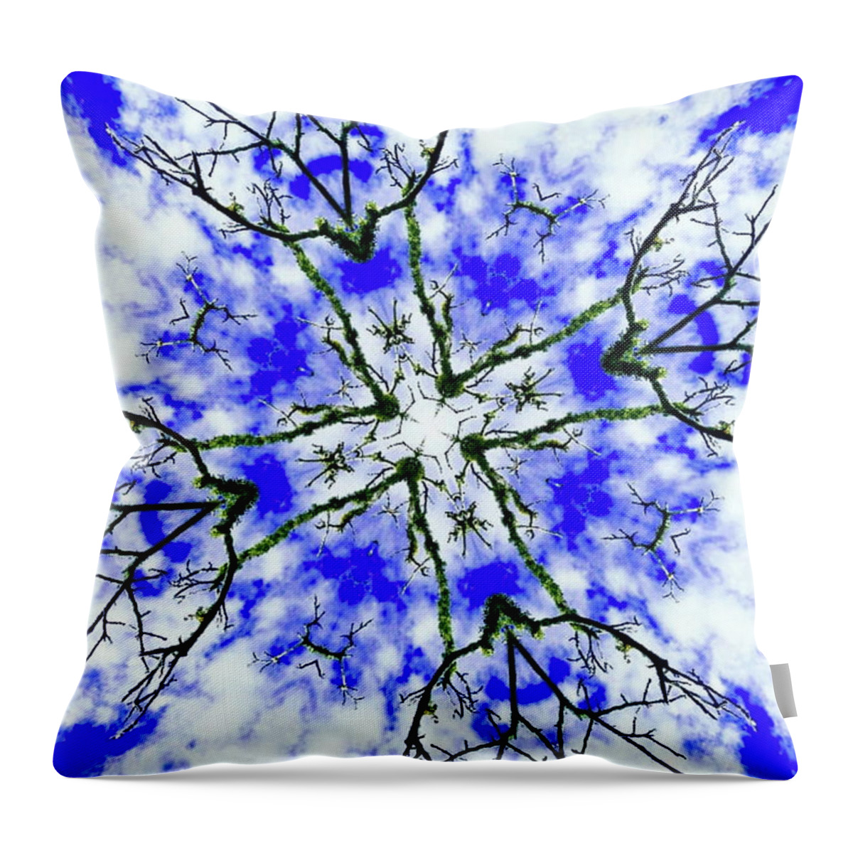 Branches Throw Pillow featuring the photograph Castles In The Sky by Tracey Lee Cassin