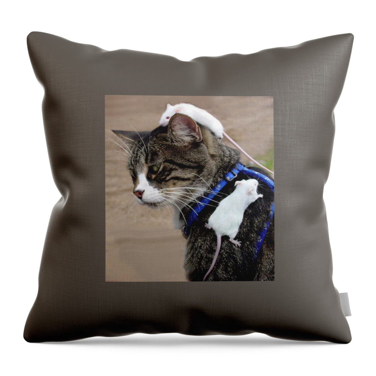 Cat Throw Pillow featuring the photograph Cat and Mice by Nancy Tubb