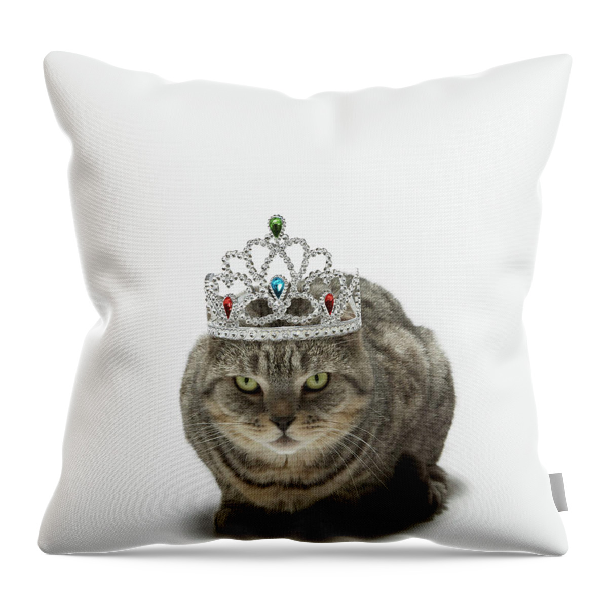 Crown Throw Pillow featuring the photograph Cat Wearing A Tiara by Tim Macpherson