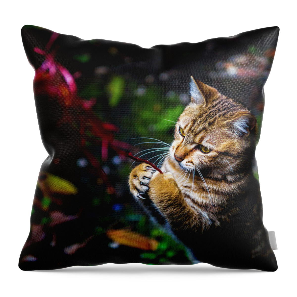 Taiwan Throw Pillow featuring the photograph Catching by Stagnantlife