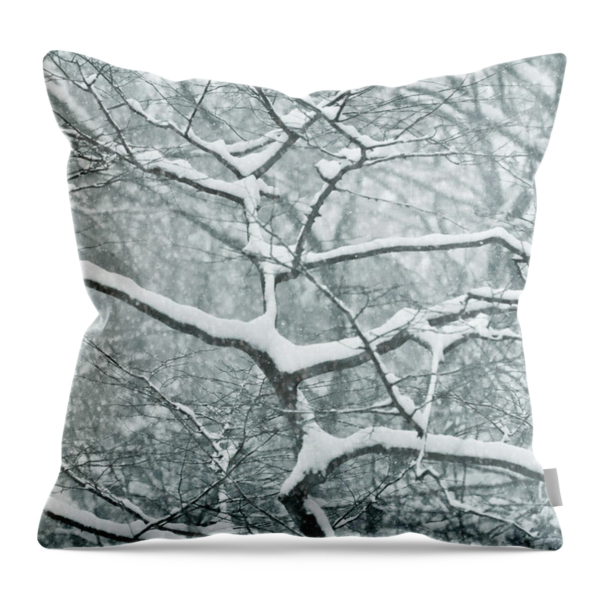 Bare Throw Pillow featuring the photograph Catching The Snow by JAMART Photography