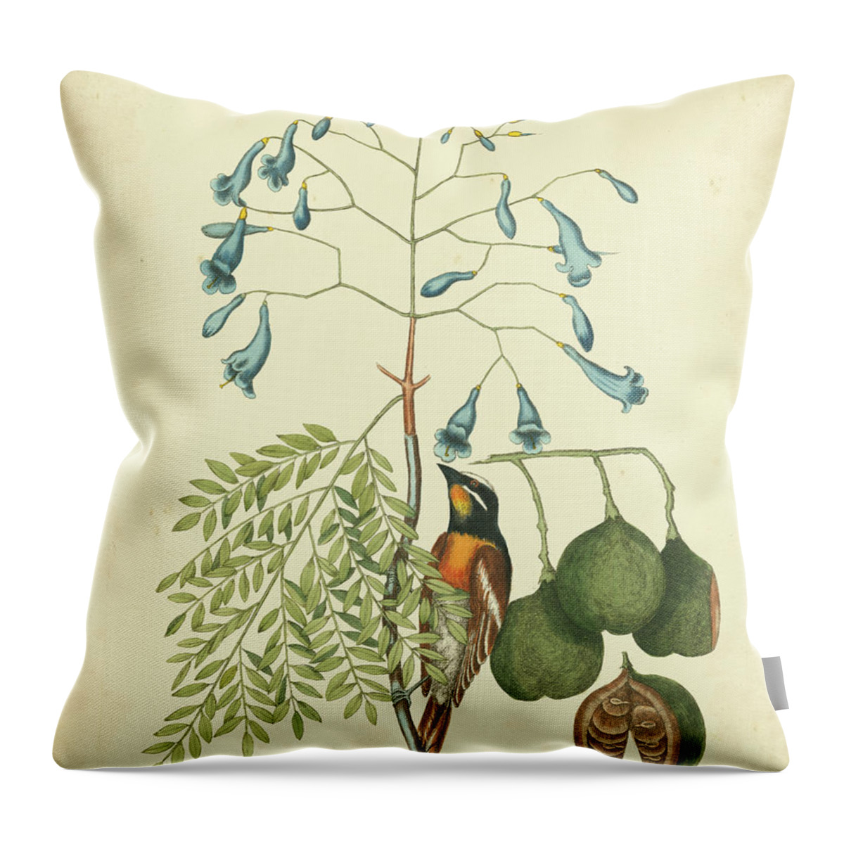 Animals Throw Pillow featuring the painting Catesby Bird & Botanical II by Mark Catesby