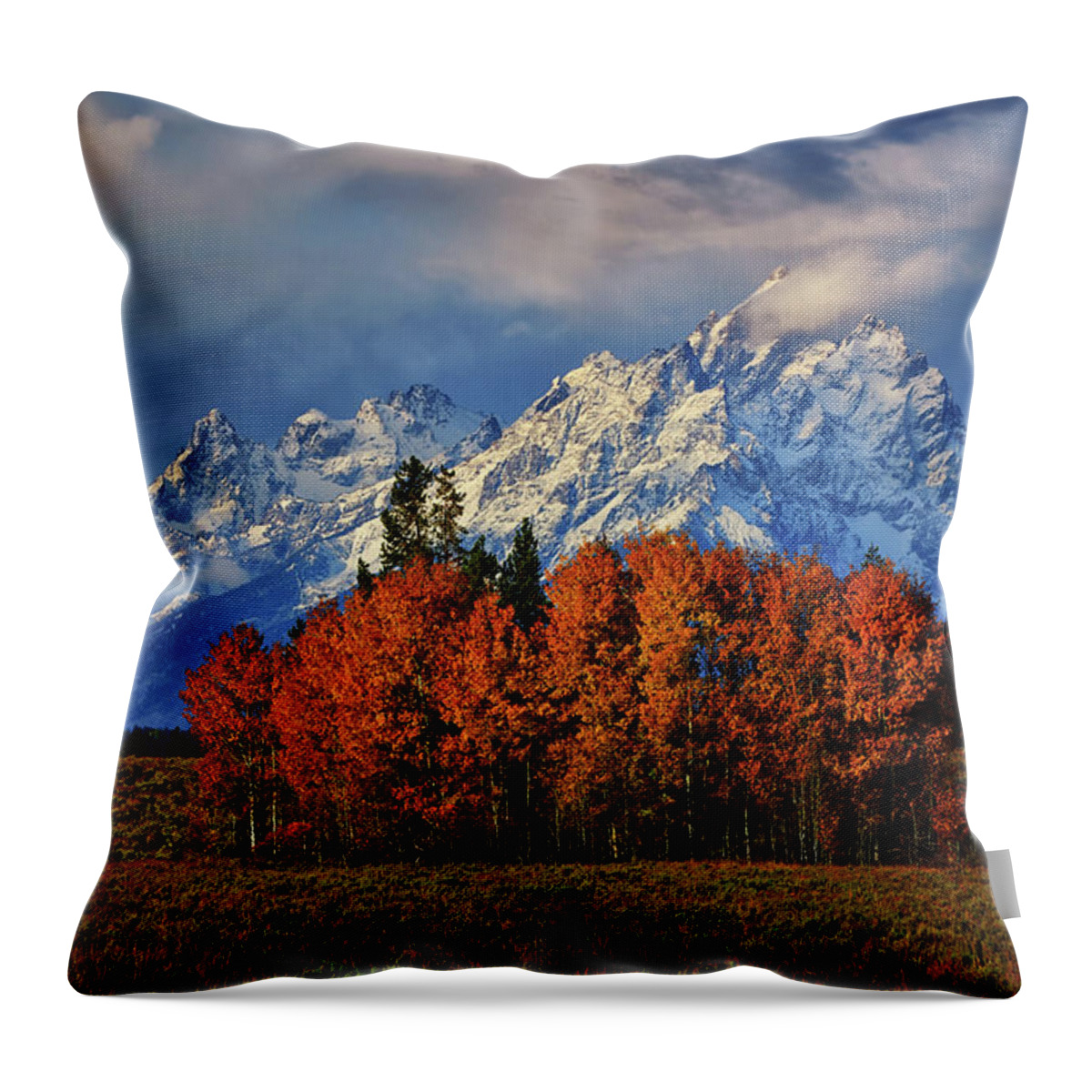 Grand Teton National Park Throw Pillow featuring the photograph Cathedral Storm by Greg Norrell