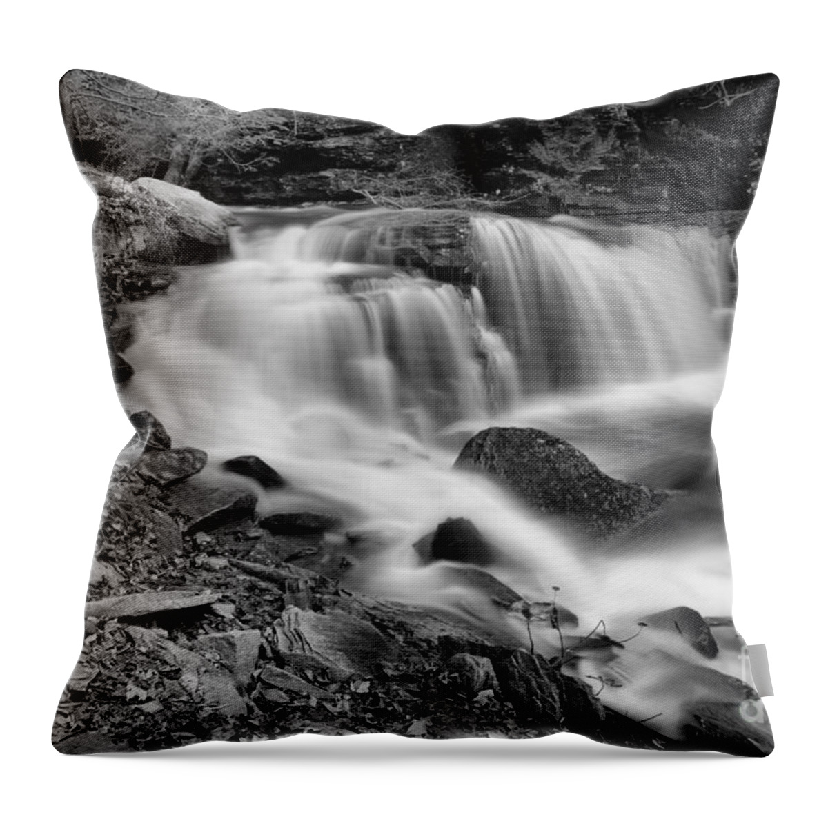 Ganoga Glen Throw Pillow featuring the photograph Cayuga Falls Autumn View Black And White by Adam Jewell