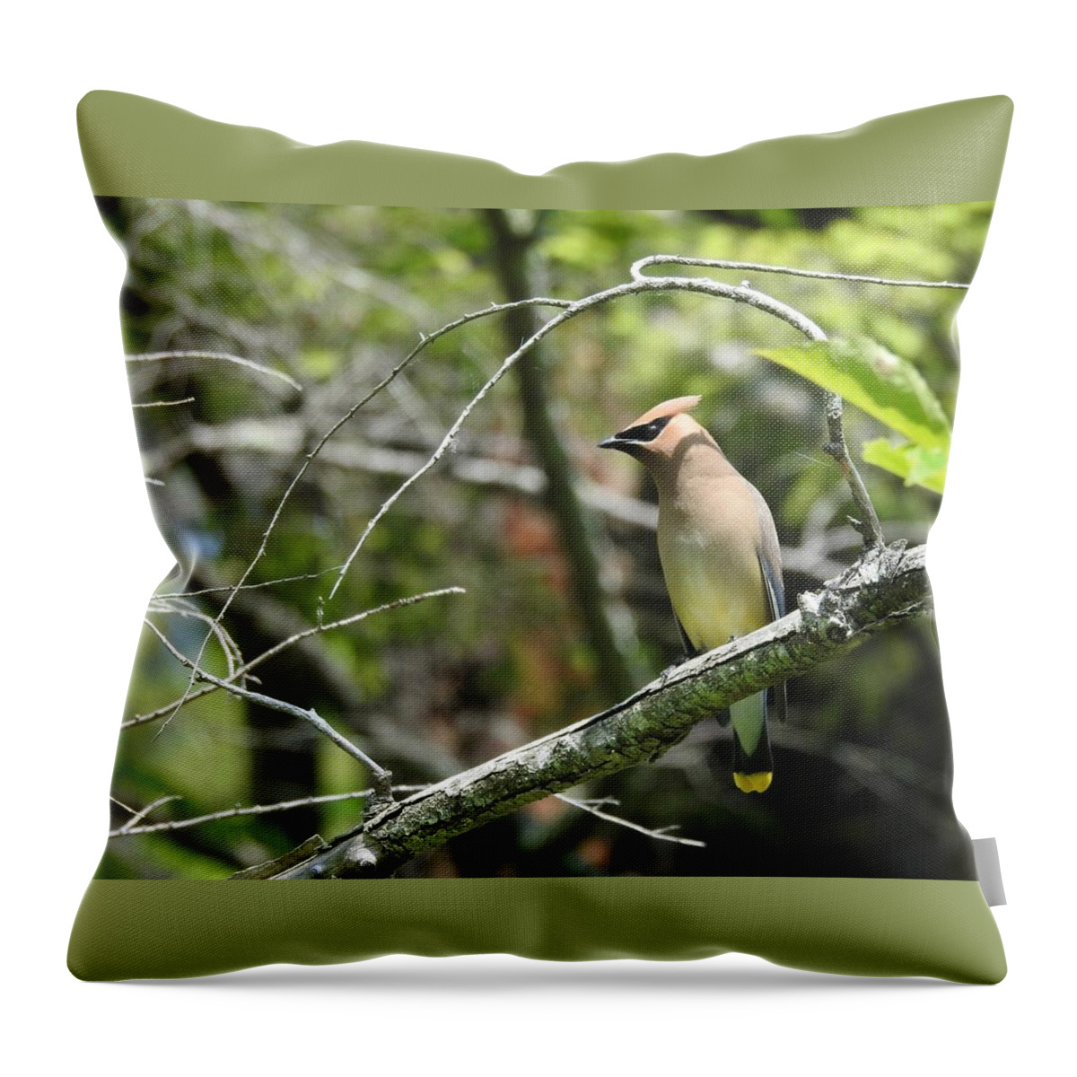Cedar Waxwing Throw Pillow featuring the photograph Cedar Waxwing by Kathy Ozzard Chism