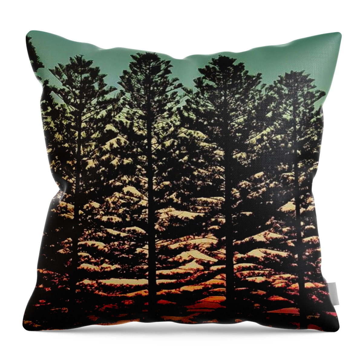 Ceduna Throw Pillow featuring the photograph Veil of Trees by Debra Grace Addison