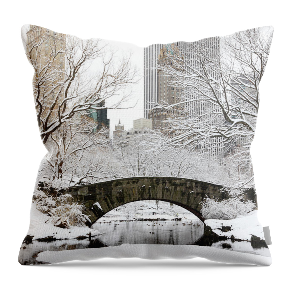 Snow Throw Pillow featuring the photograph Central Park, New York by Veni