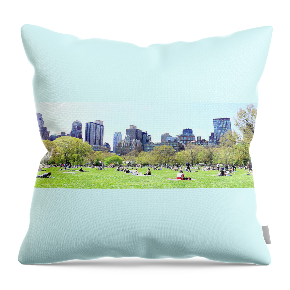 Central Throw Pillow featuring the photograph Central Park Picnic by Acosta