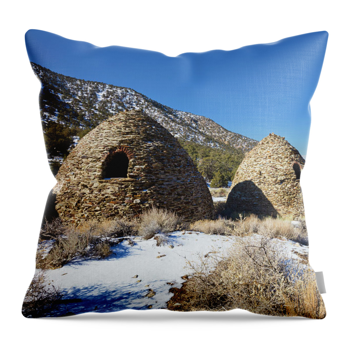 Tom Daniel Throw Pillow featuring the photograph Charcoal Kilns Back by Tom Daniel