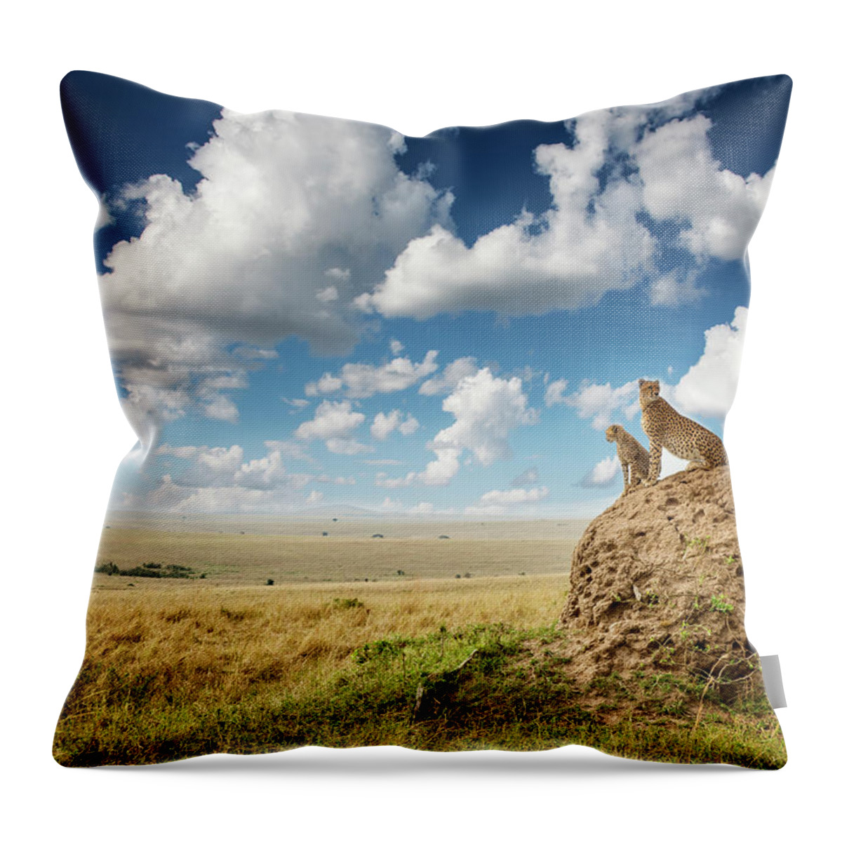 Scenics Throw Pillow featuring the photograph Cheetah And Cub Watching From A Mound by Mike Hill