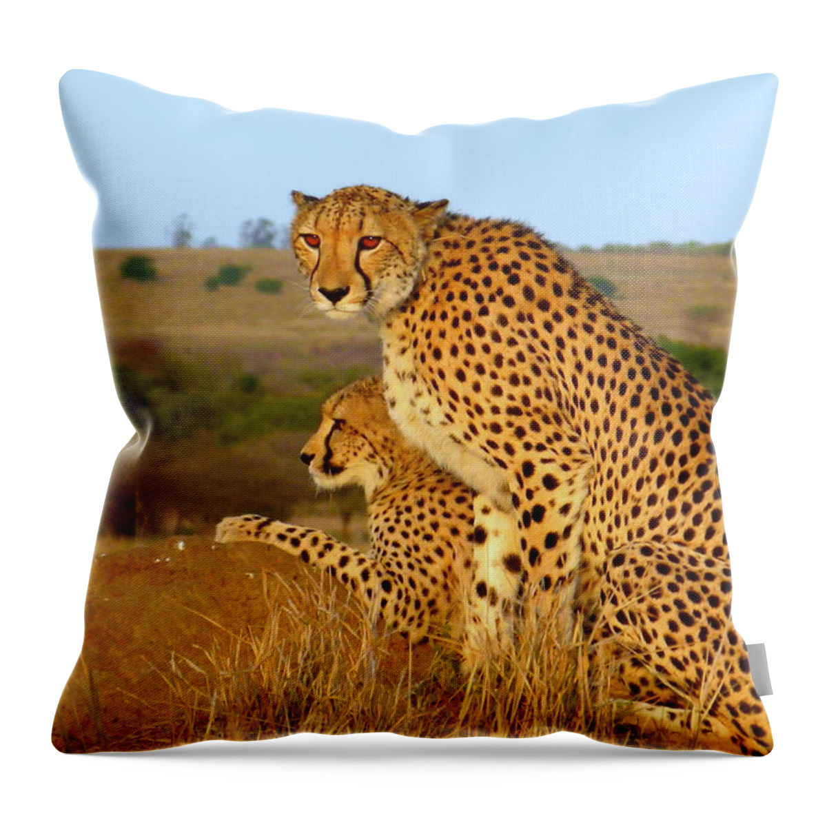Grass Throw Pillow featuring the photograph Cheetah by Femi Faminu