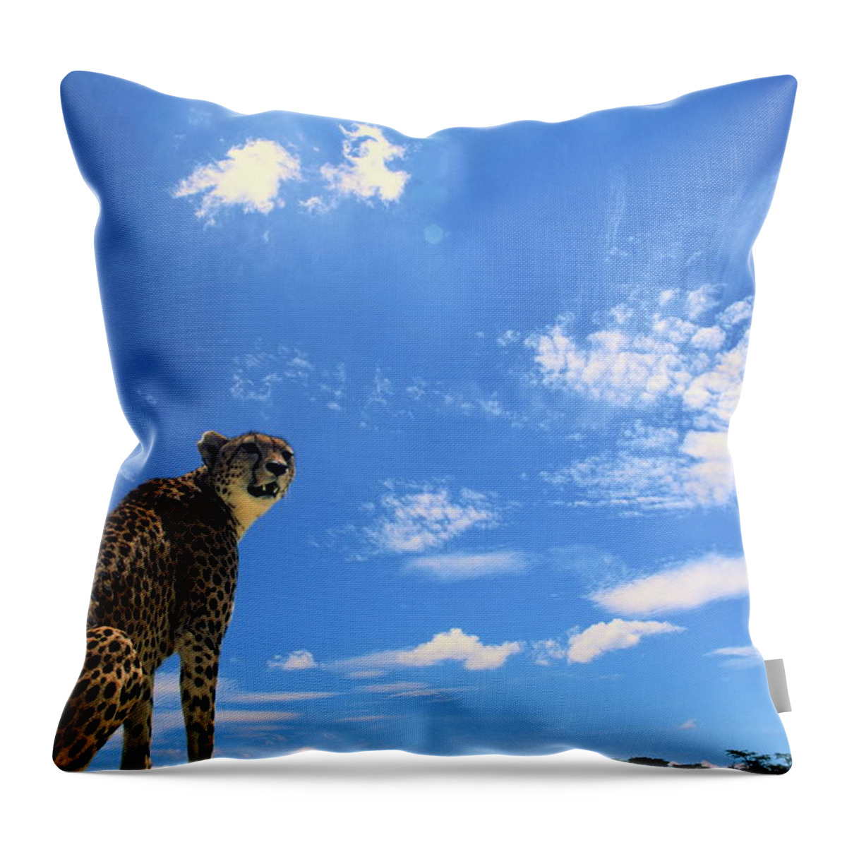 Kenya Throw Pillow featuring the photograph Cheetah Sitting, Blue Sky Background by Manoj Shah