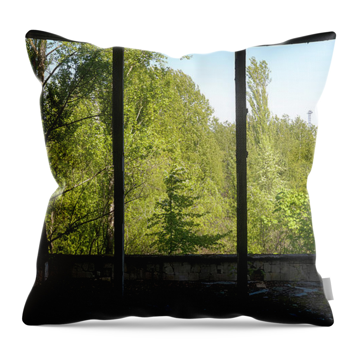 Abandoned Throw Pillow featuring the photograph Chernobyl Ferris Wheel View by Roman Robroek