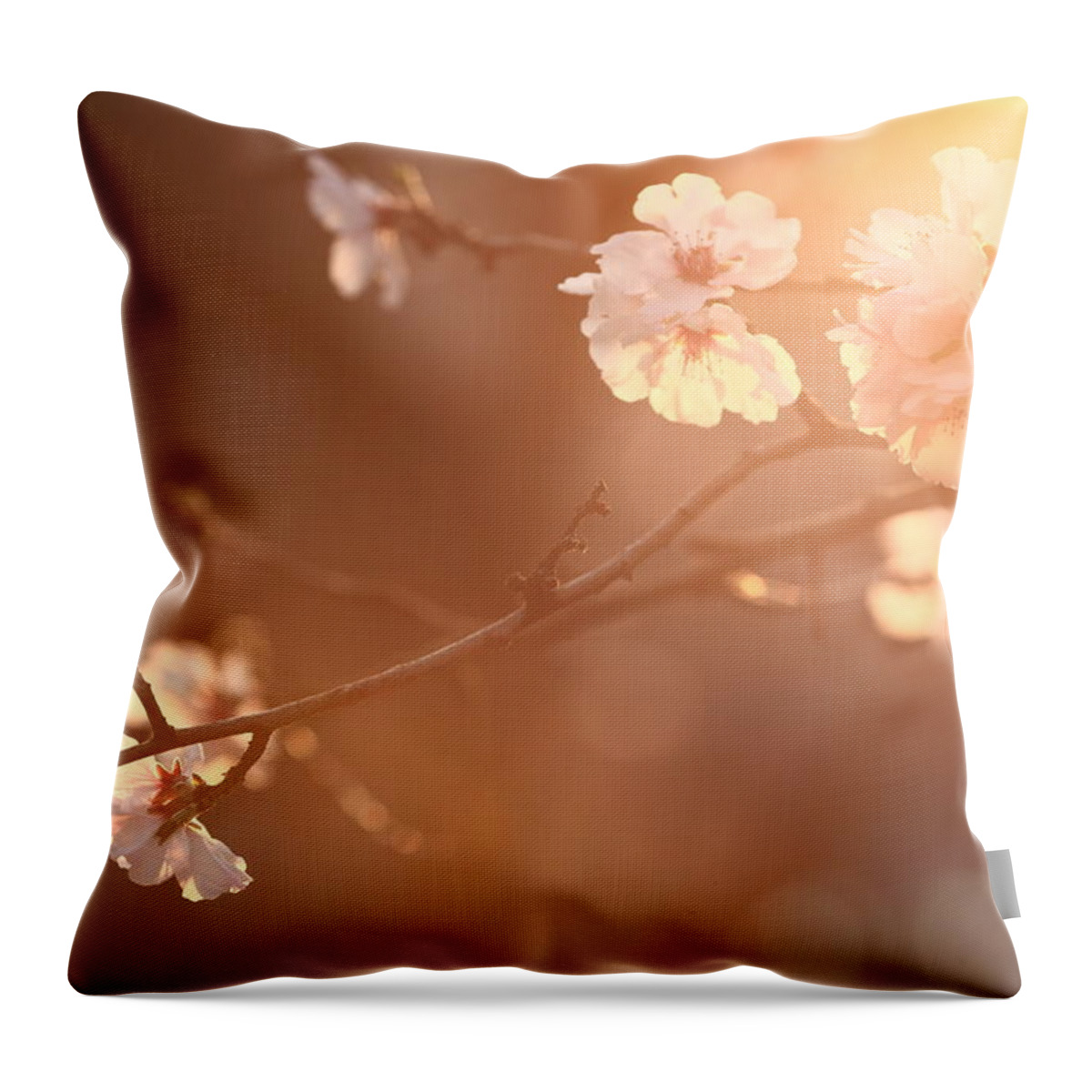 Petal Throw Pillow featuring the photograph Cherry Blossom by Rolfo Rolf Brenner