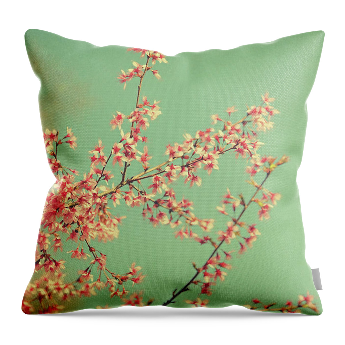 Spring Throw Pillow featuring the photograph Cherry Blossoms by Carrie Ann Grippo-Pike