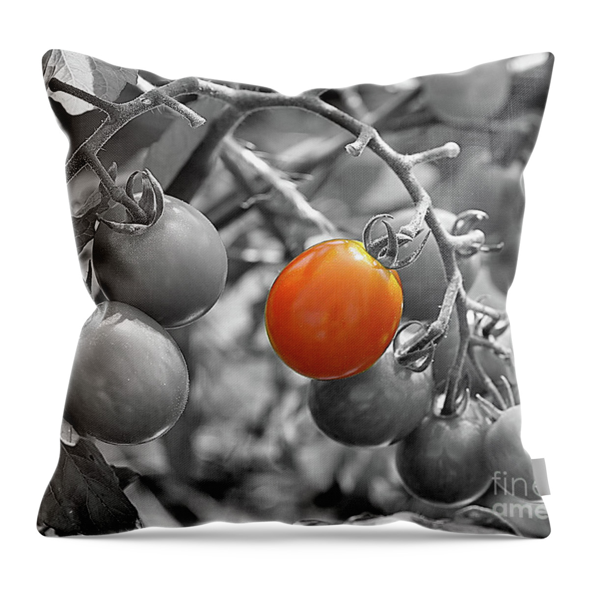 Black And White Throw Pillow featuring the photograph Cherry Tomatoes Partial Color by Smilin Eyes Treasures