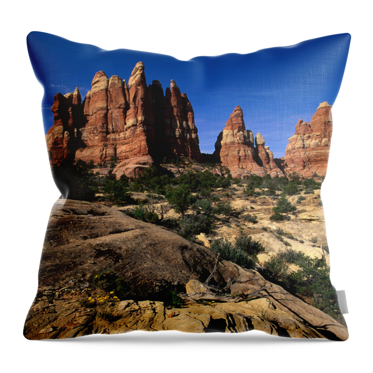 Weathered Throw Pillow featuring the photograph Chesler Park Trail In Needles Region by Lonely Planet