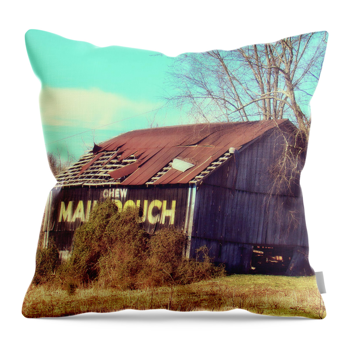 Southern Throw Pillow featuring the photograph Chew Mail Pouch by Lenore Locken
