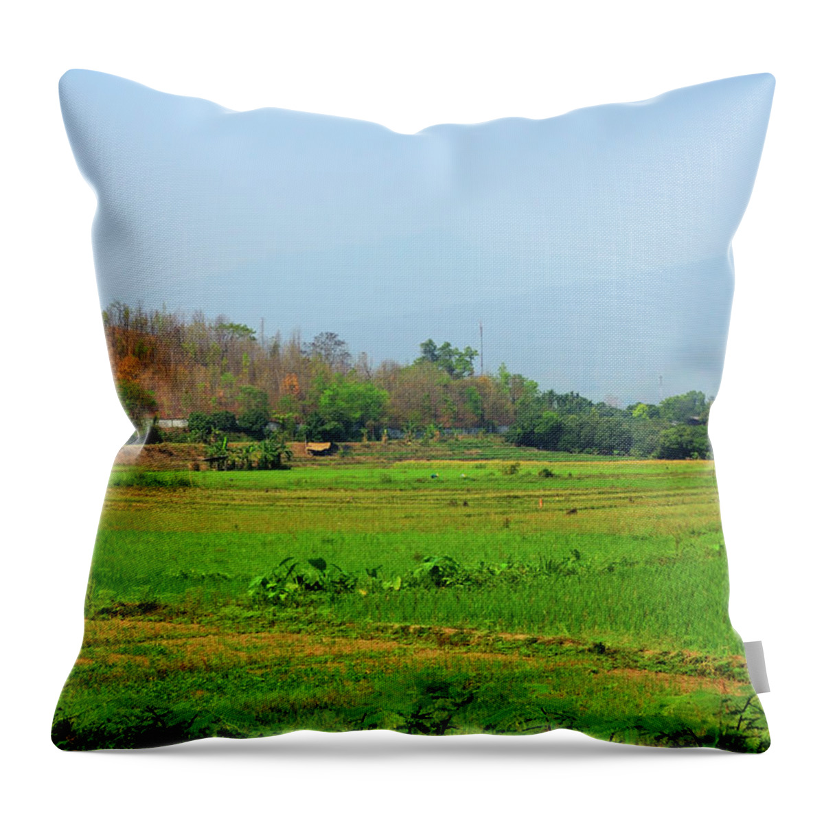 Farm Worker Throw Pillow featuring the photograph Chiang Mai Thai Rice Farmers by Joesboy