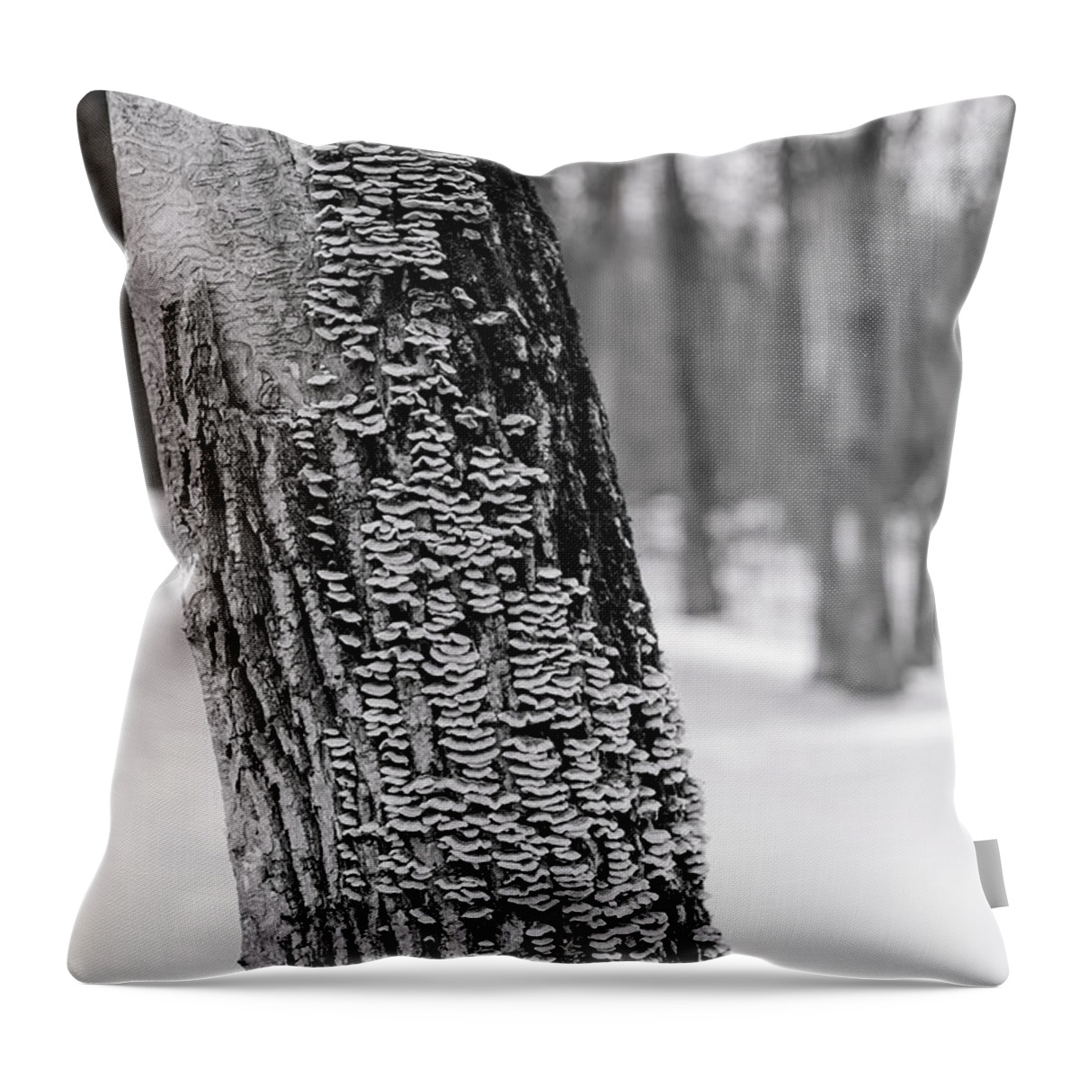 Winterpacht Throw Pillow featuring the photograph Chicago Winter Trees by Miguel Winterpacht