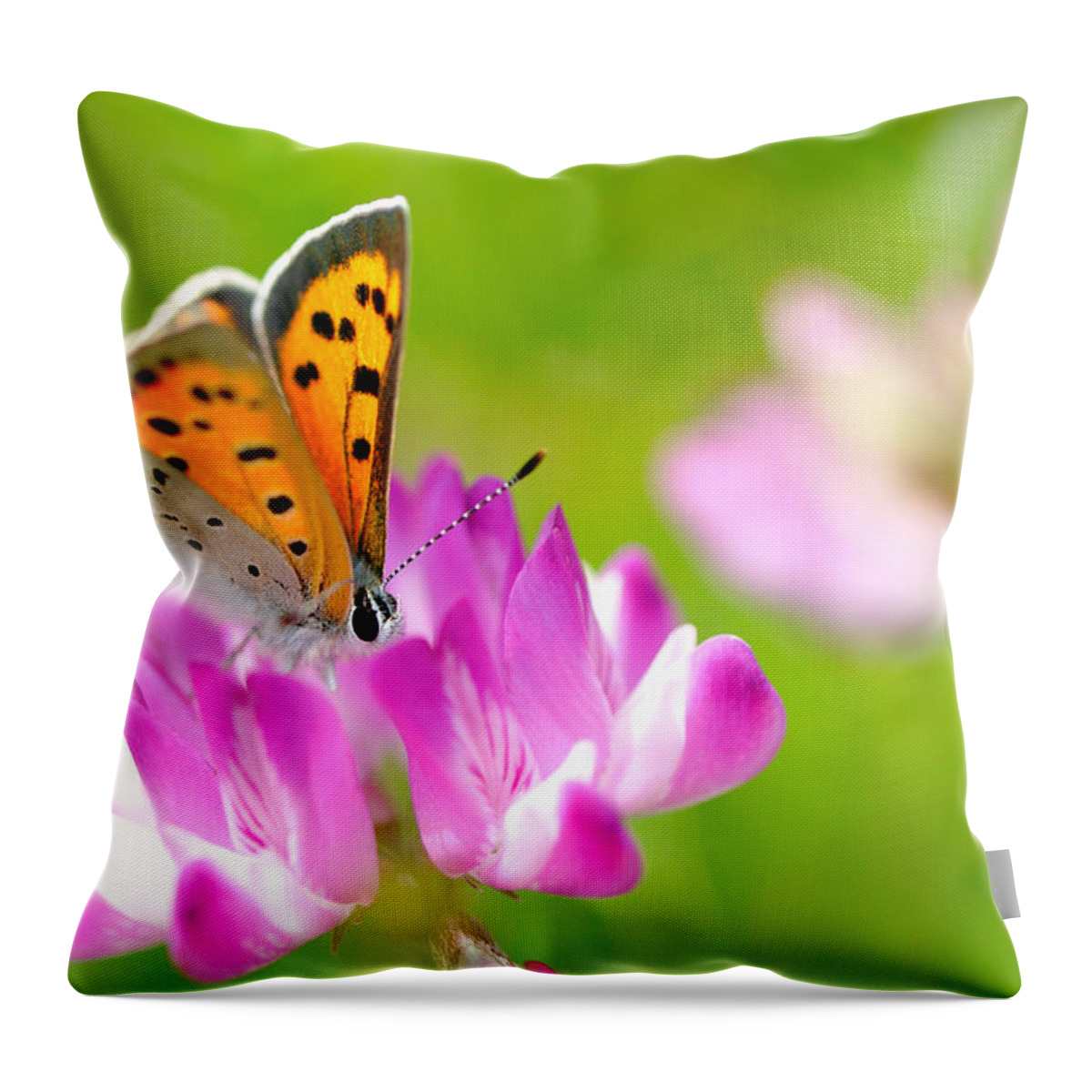 Insect Throw Pillow featuring the photograph Chinese Milk Vetch With Butterfly by Myu-myu