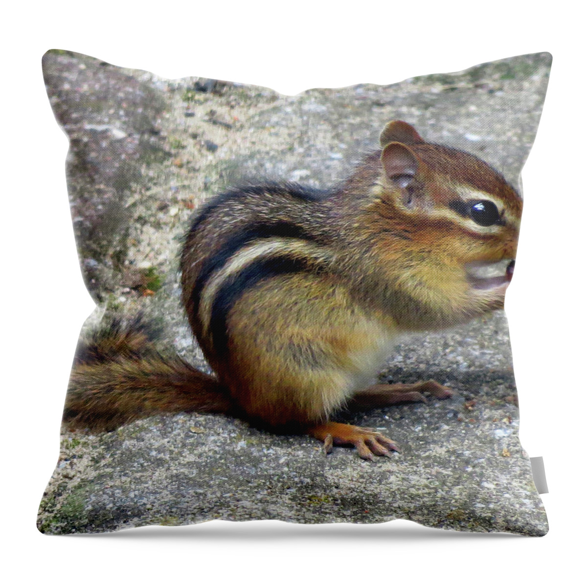 Chipmunk Throw Pillow featuring the photograph Chipmunk Eating a Grape by Linda Stern