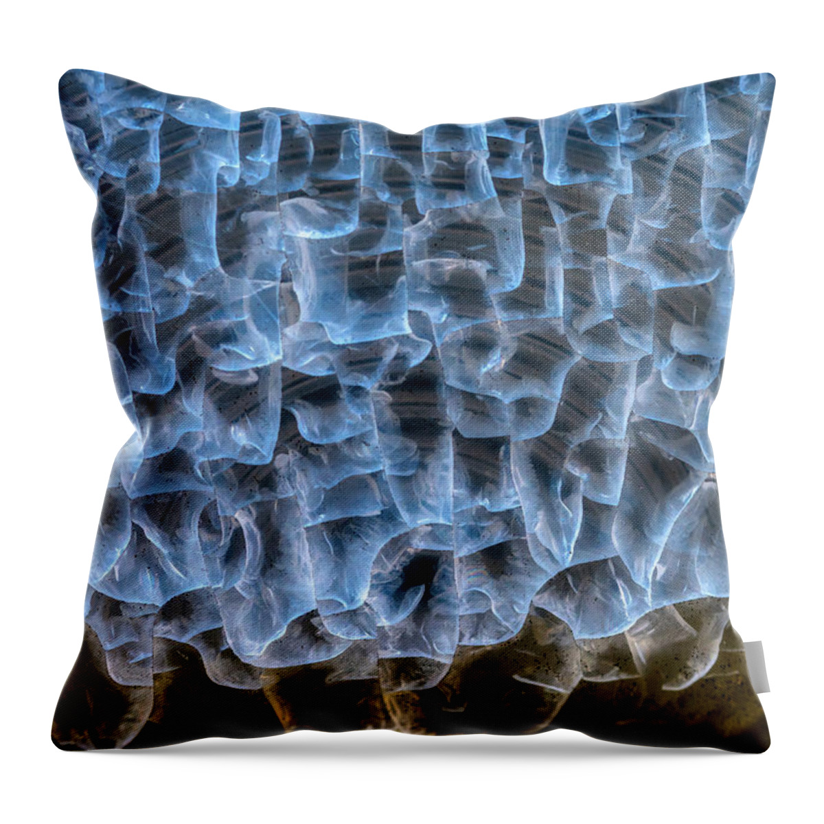 Abstract Art Throw Pillow featuring the photograph Chiseled in Light by Michael Hubley
