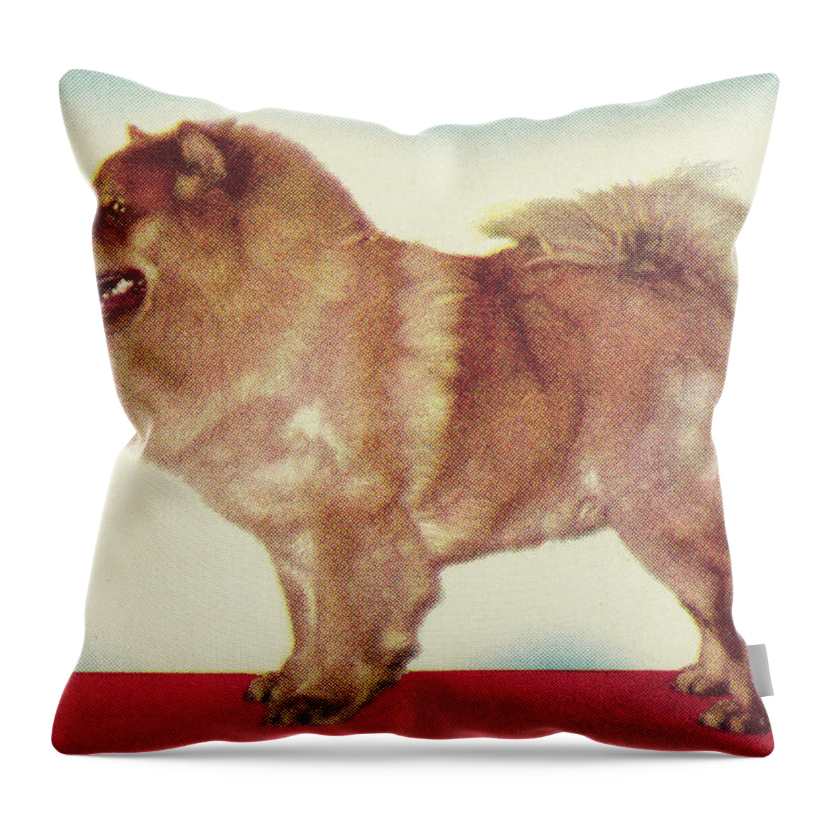 Animal Throw Pillow featuring the drawing Chow by CSA Images