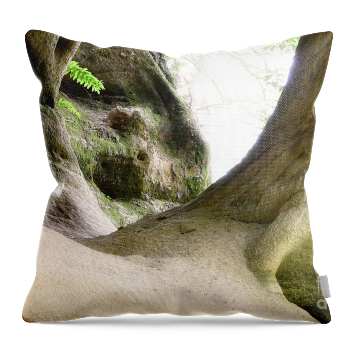 Pogue Creek Canyon Throw Pillow featuring the photograph Circle Bar Arch 10 by Phil Perkins