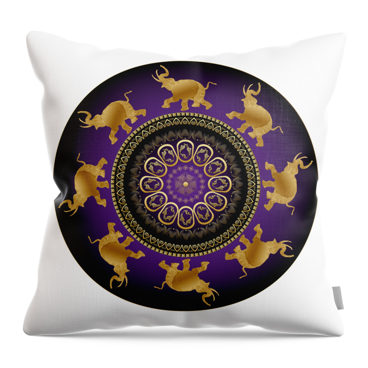 Mandala Throw Pillow featuring the digital art Circumplexical No 3723 by Alan Bennington