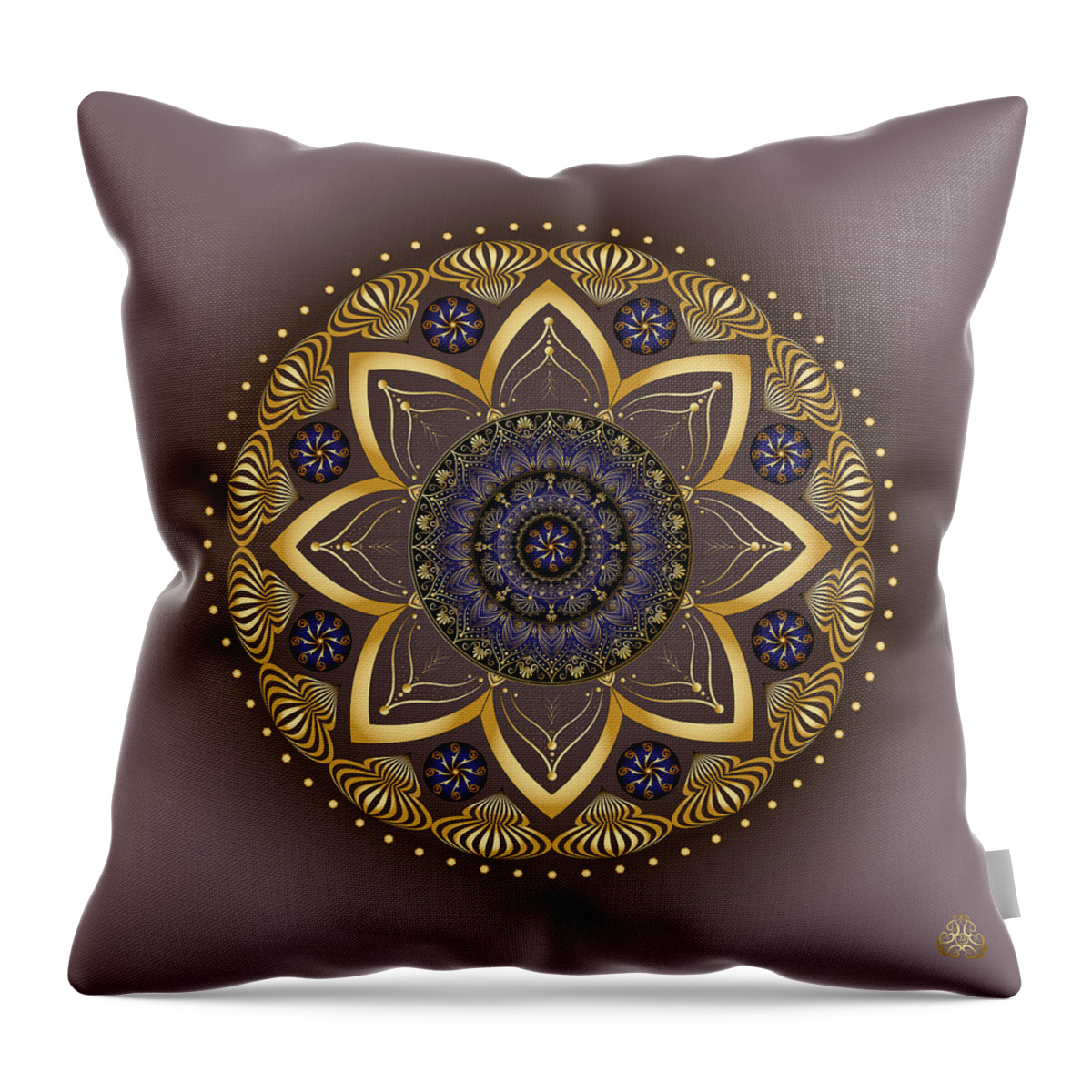 Mandala Throw Pillow featuring the digital art Circumplexical No 3990 by Alan Bennington