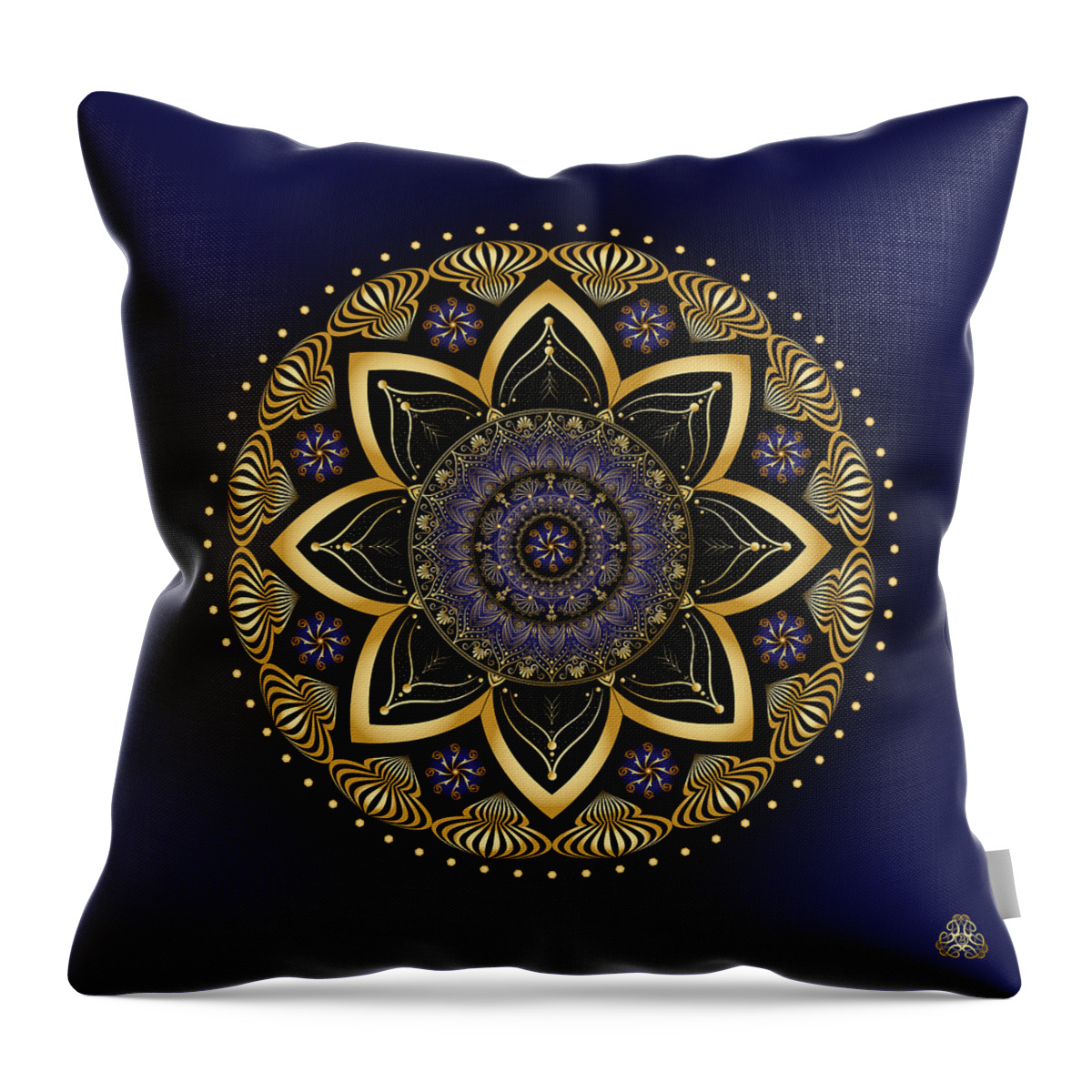Mandala Throw Pillow featuring the digital art Circumplexical No 3991 by Alan Bennington