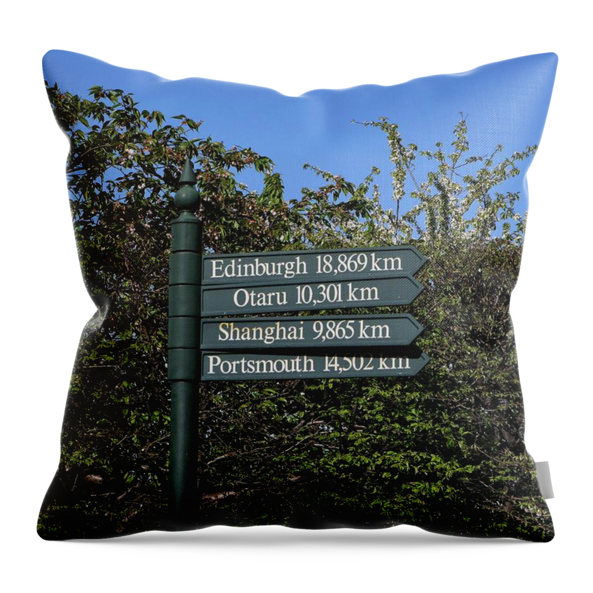 Sign Throw Pillow featuring the photograph City sign by Martin Smith