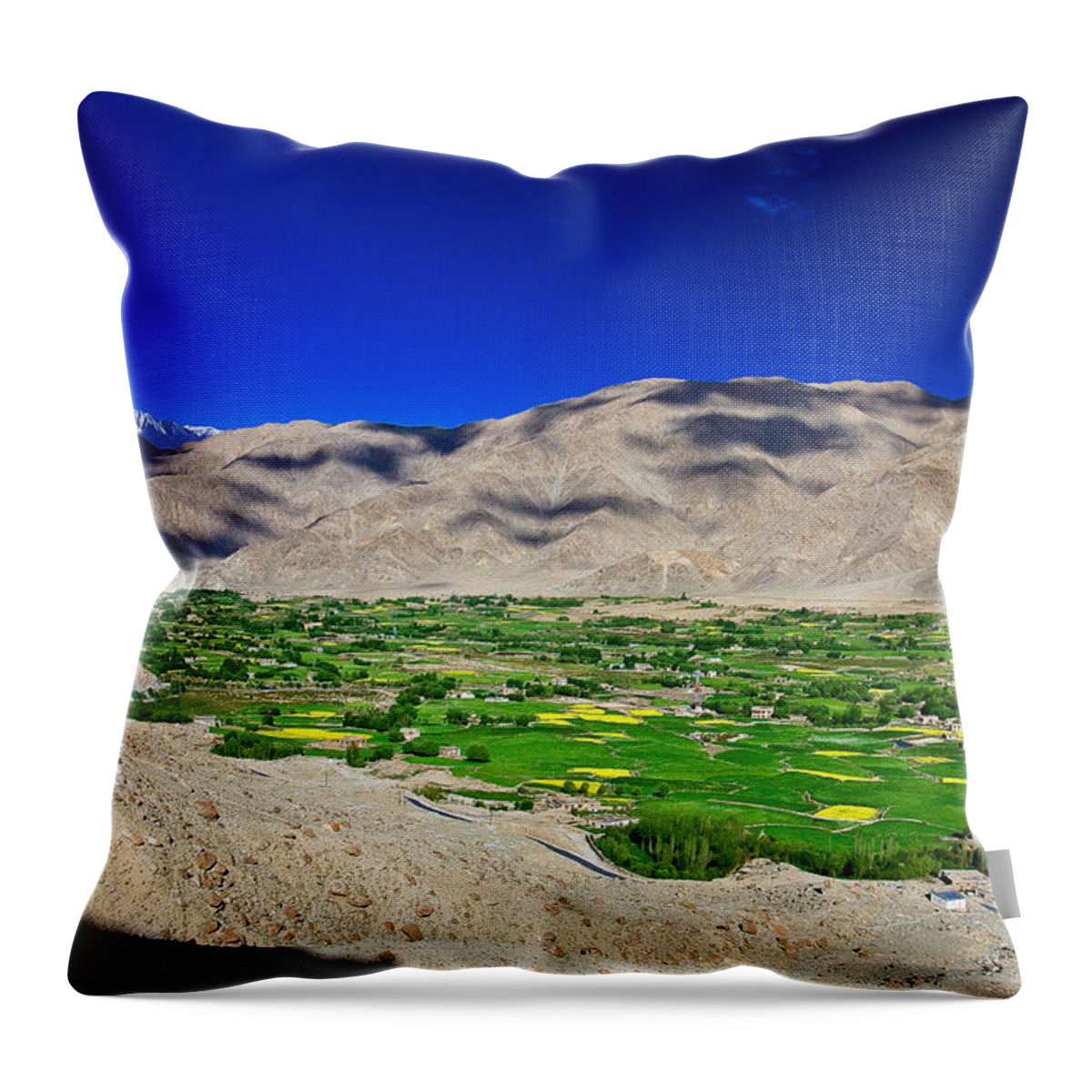 Tranquility Throw Pillow featuring the photograph Cityscape | Leh by Copyright Dhurjati Chatterjee