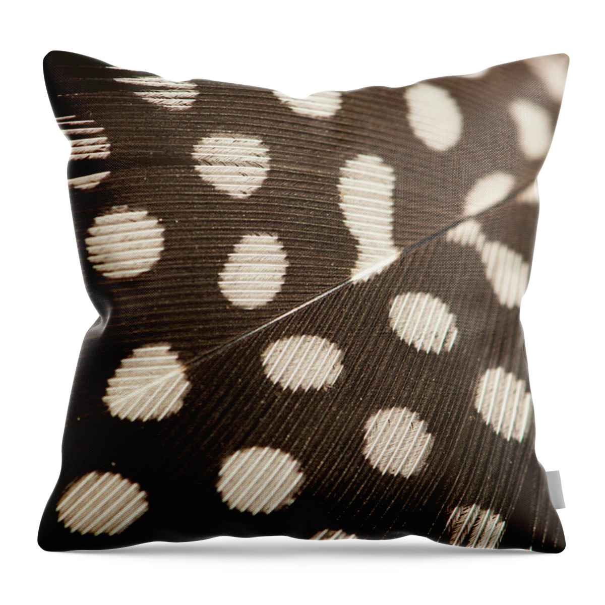 Outdoors Throw Pillow featuring the photograph Close Up Feather by Pkg Photography