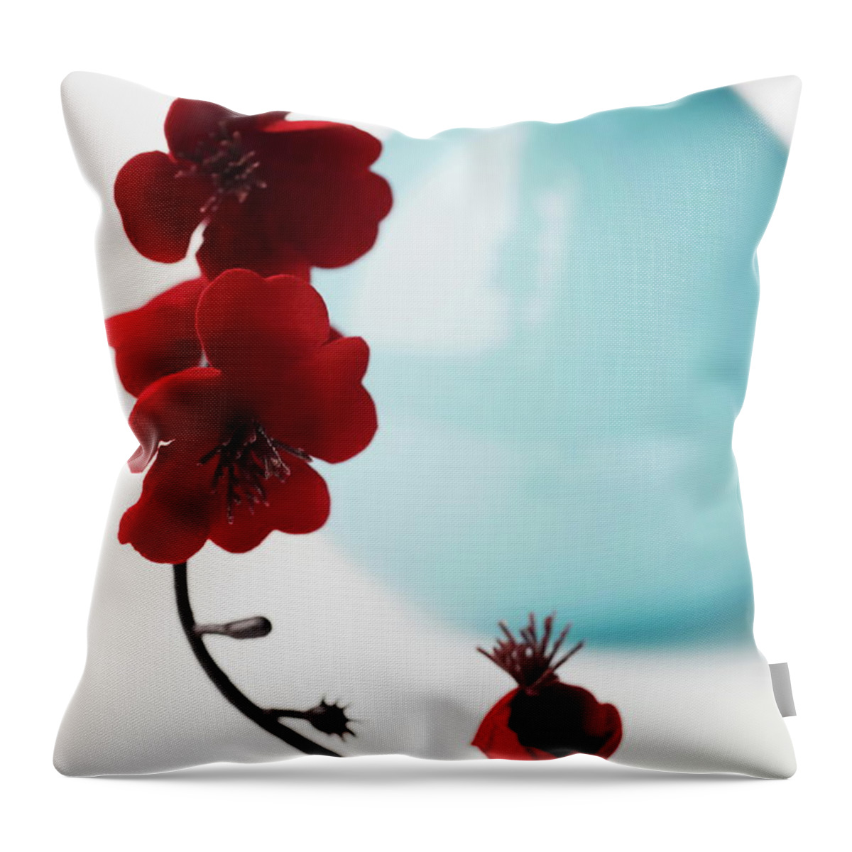 White Background Throw Pillow featuring the photograph Close-up Of A Branch Of Red Flowers In by Jack Hollingsworth