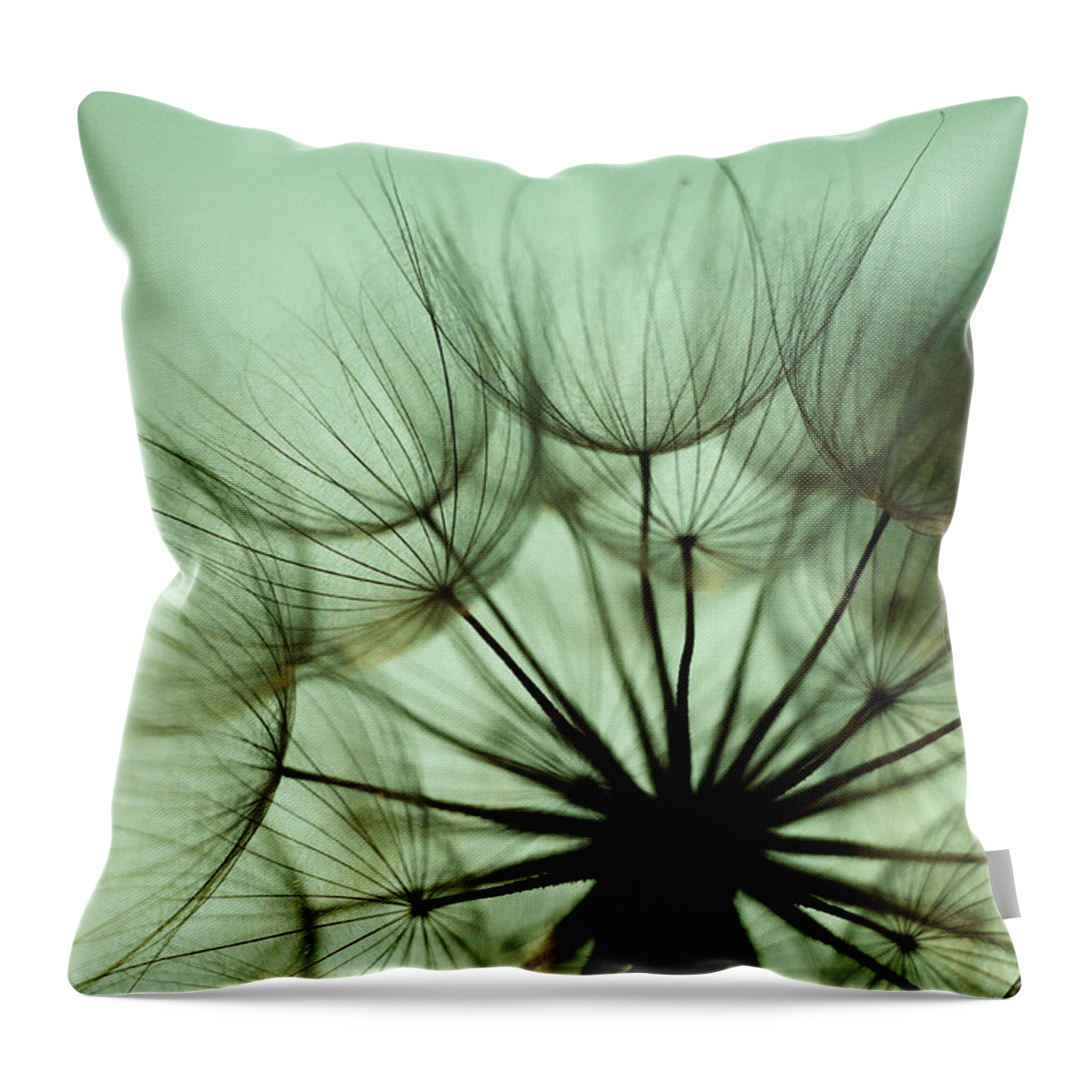 Outdoors Throw Pillow featuring the photograph Close-up Of Dandelion Seeds by Jupiterimages