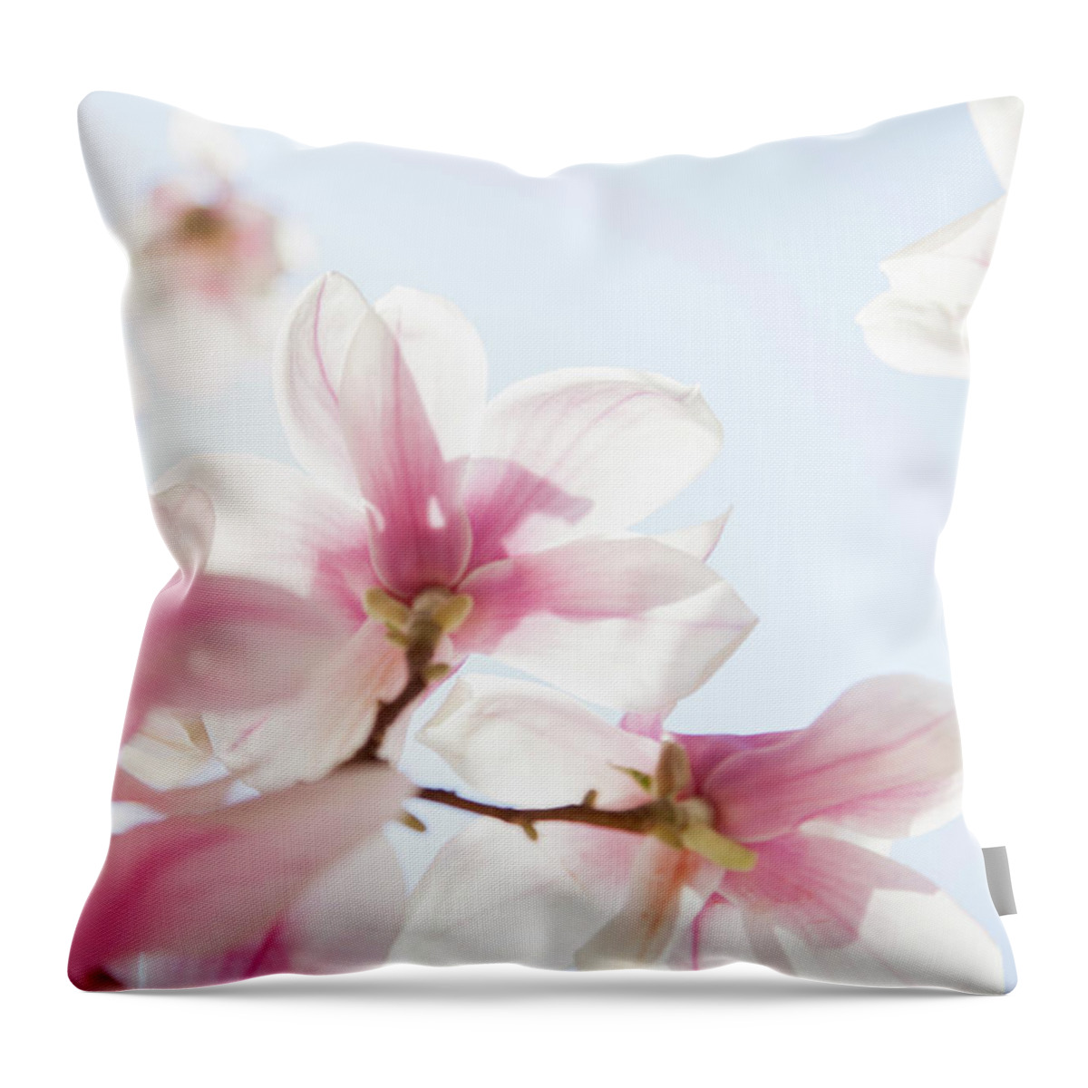 Clear Sky Throw Pillow featuring the photograph Close Up Of Pink Flowers by Stefanie Grewel