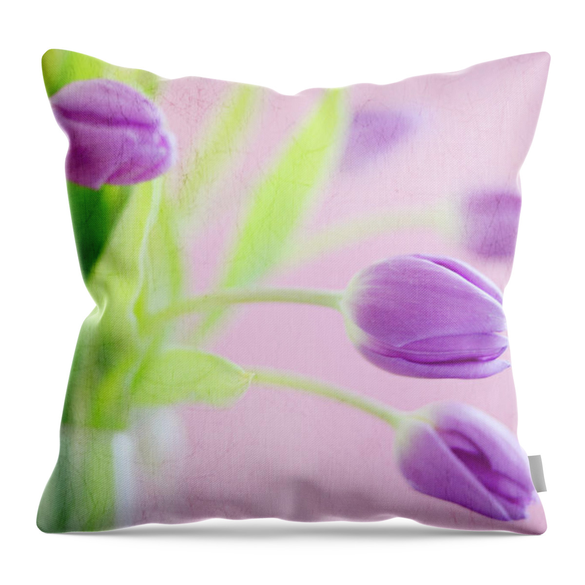 Vase Throw Pillow featuring the photograph Close Up Of Purple Tulips by Dhmig Photography