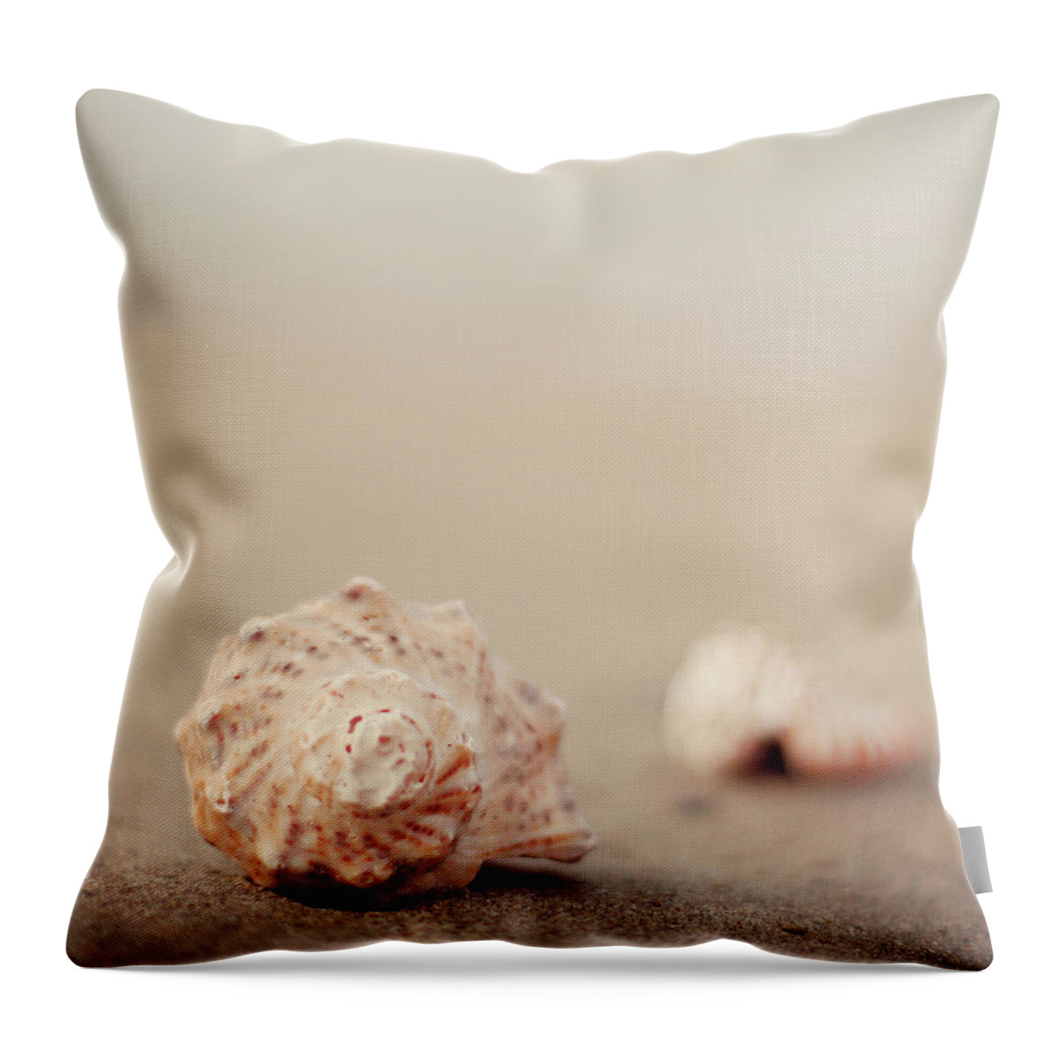 Animal Shell Throw Pillow featuring the photograph Close Up Of Shells On Beach by Copyright© Marianna Di Ferdinando
