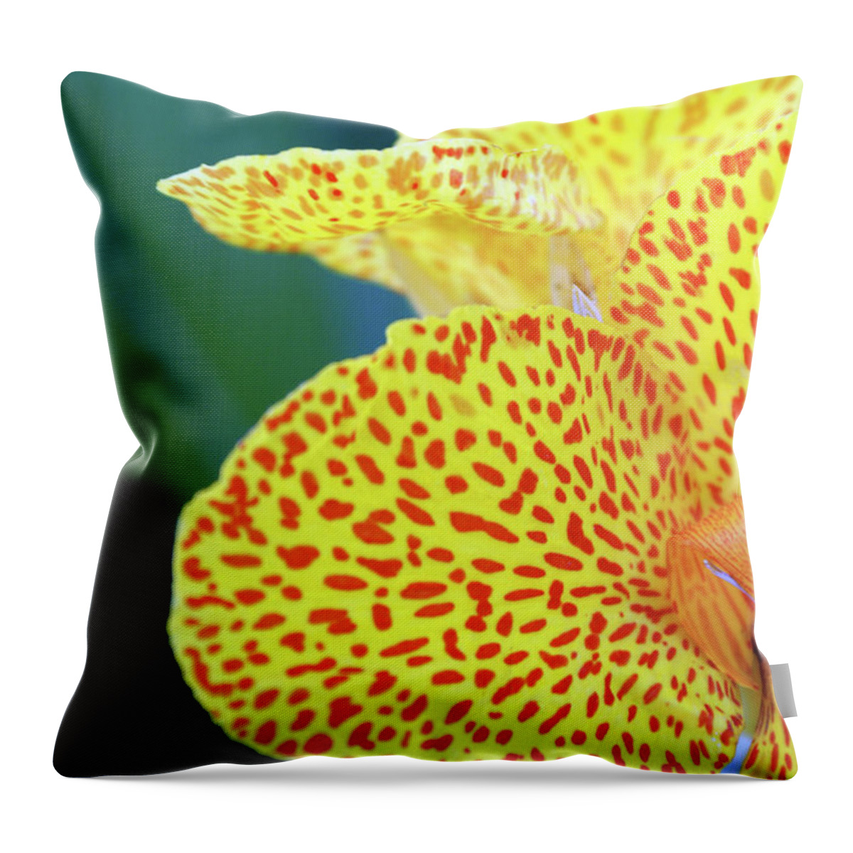 Petal Throw Pillow featuring the photograph Close Up Of Yellow Flower by Sofia Uslenghi