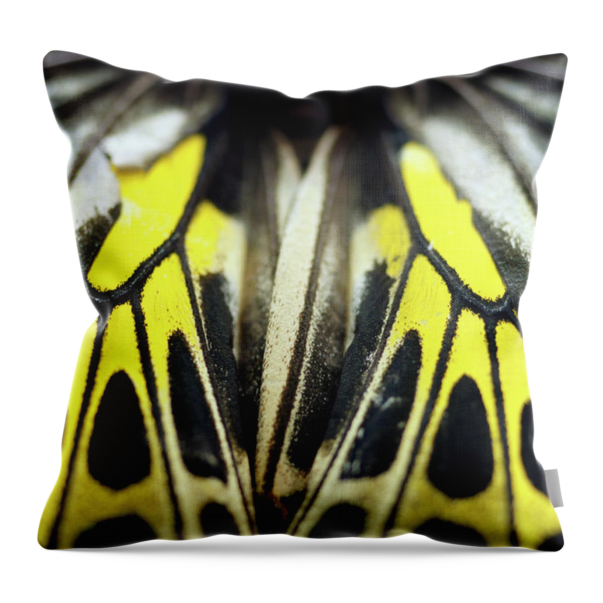 Insect Throw Pillow featuring the photograph Close-up Wing Of Butterfly by Dangdumrong