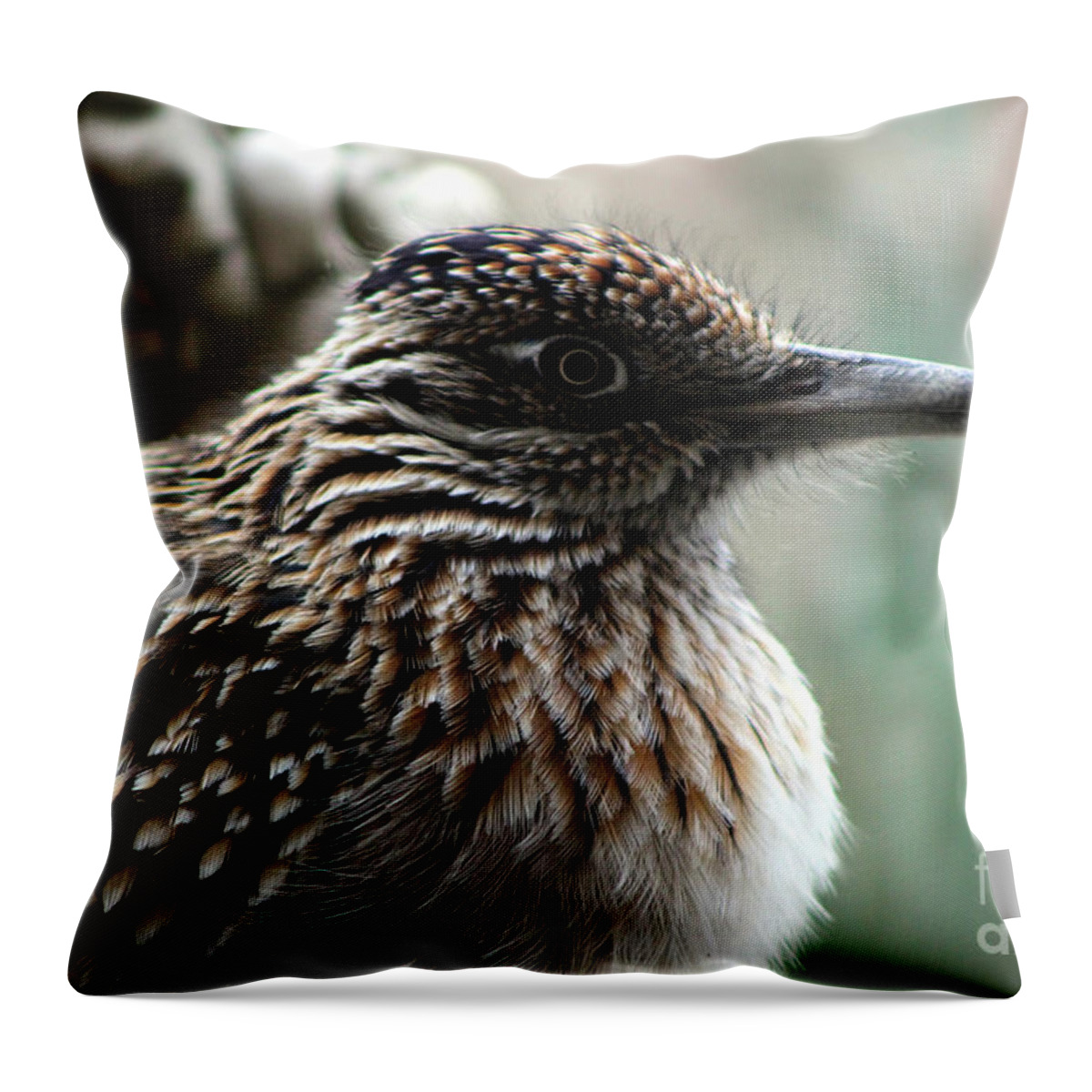 Roadrunner Throw Pillow featuring the photograph Closeup of Road Runner by Dragon in Palm Desert by Colleen Cornelius