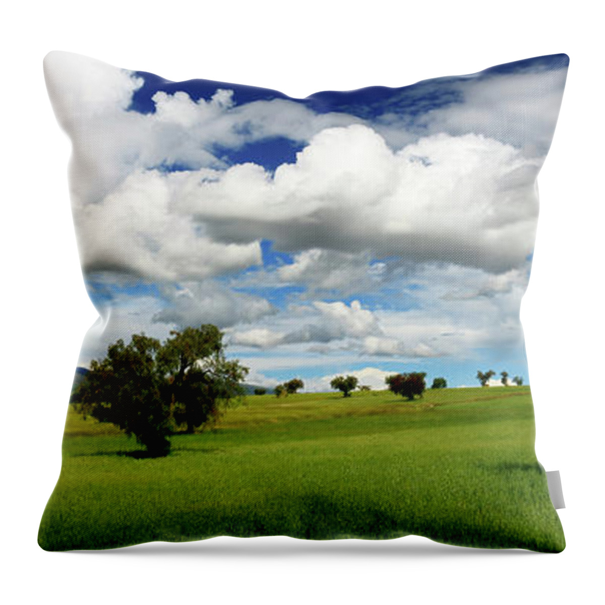 Grass Throw Pillow featuring the photograph Cloudy Sky Over Mountain by Imágenes Del Perú