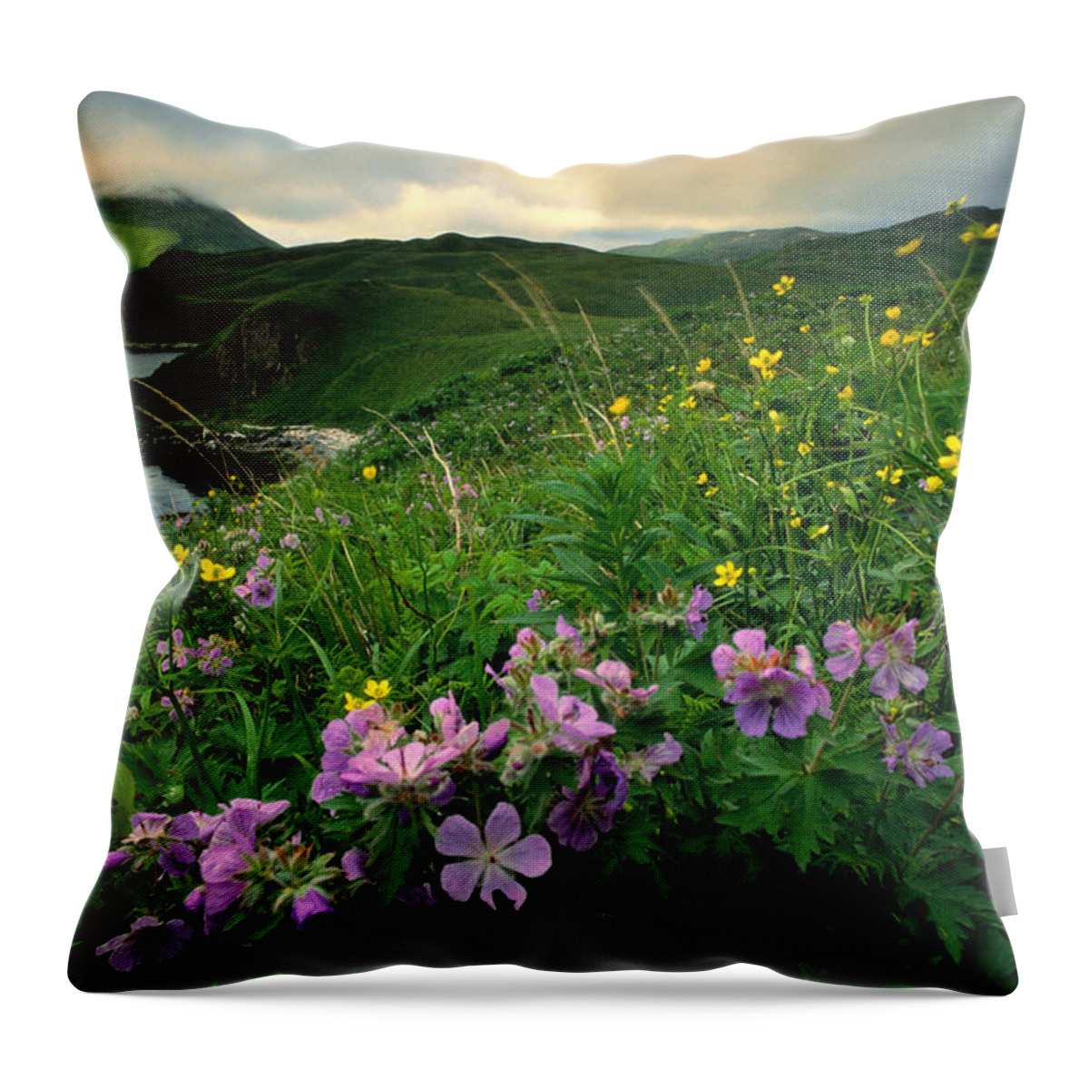 Scenics Throw Pillow featuring the photograph Coastal Paintbrush And Wild Geranium by Art Wolfe