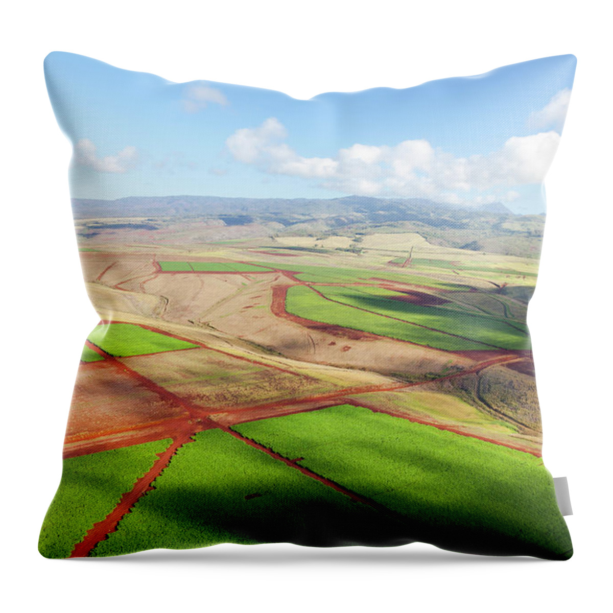 Scenics Throw Pillow featuring the photograph Coffee Plantations, Kauai by Michaelutech