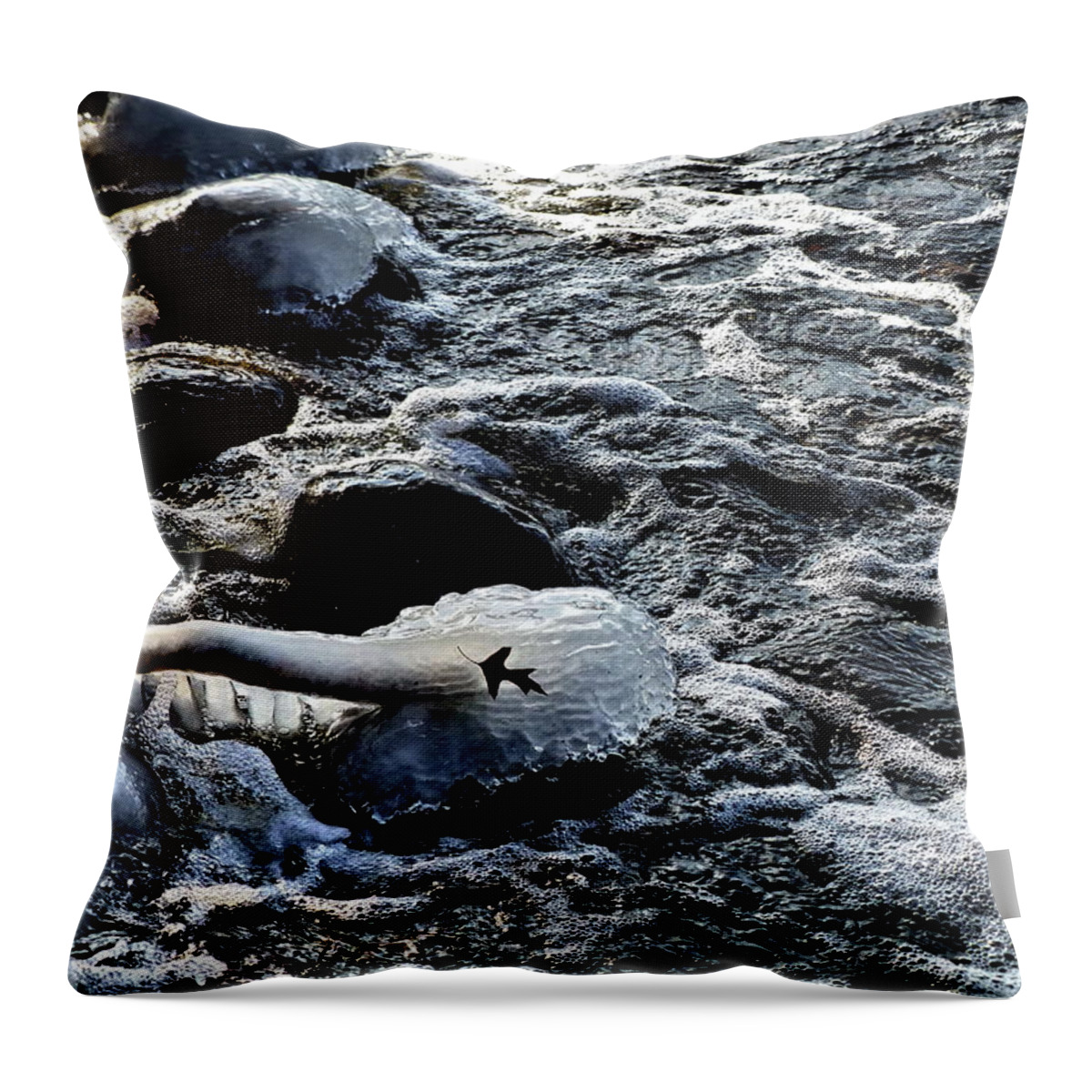 Winter Throw Pillow featuring the photograph Cold and Windy by Lyuba Filatova